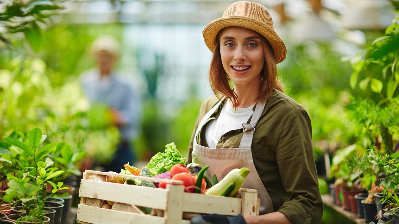 Warzywa od rolnika – dlaczego warto i jak znaleźć zaufanego dostawcę?