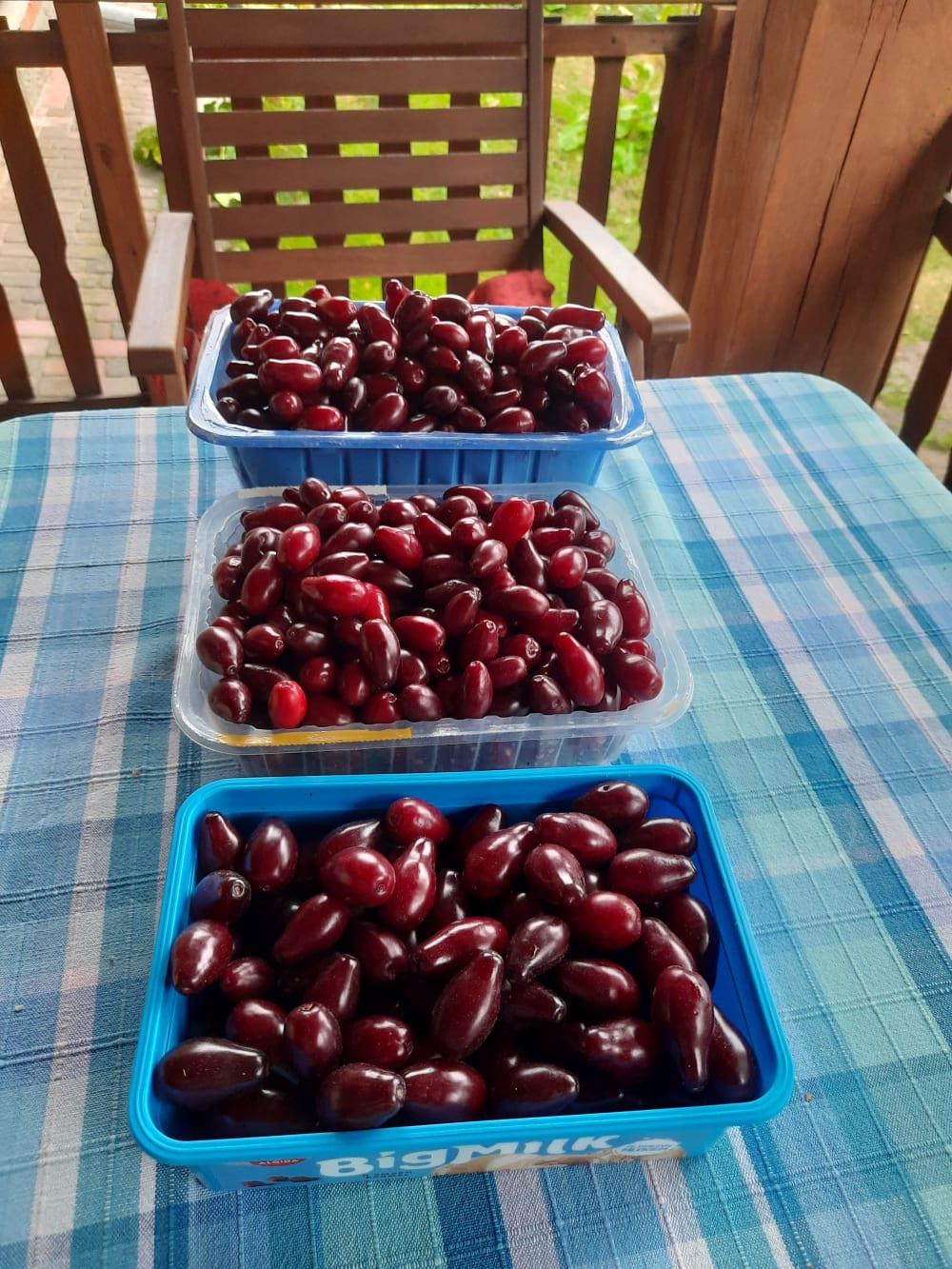Przegaliny Duże 129 oraz Lublin, Szczytowa 8 m.7