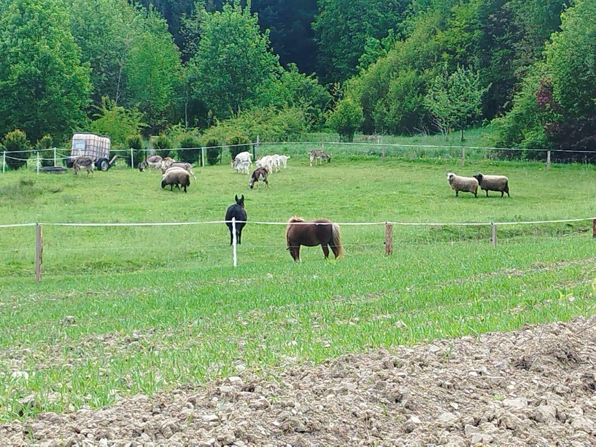 Szymbark Małopolska