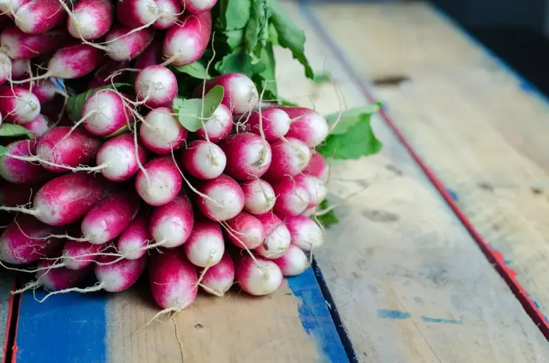 Wiosenny przewodnik po sezonowych warzywach