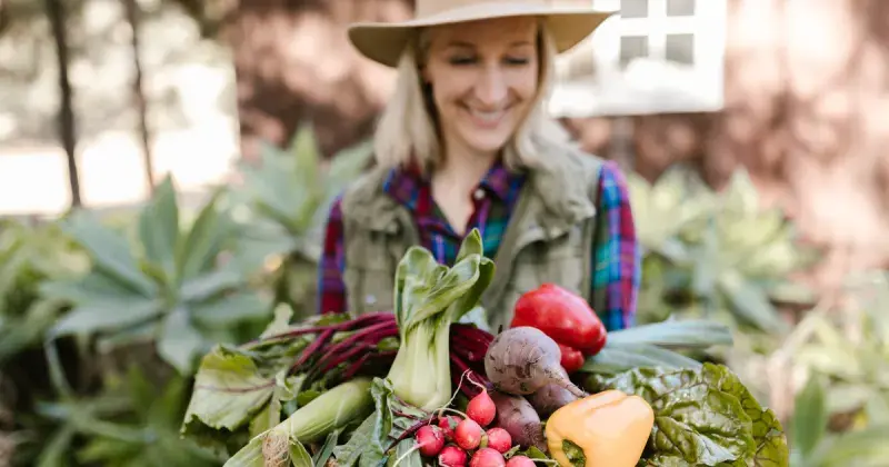 Jak zacząć sprzedawać lokalne produkty? 5 kroków do sukcesu!